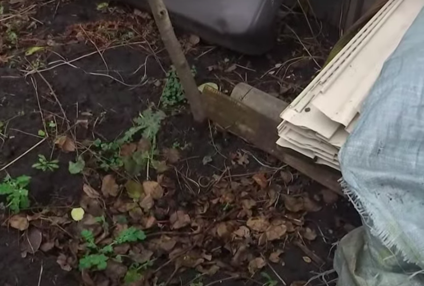 Шукали татуювання тризуба, били: подробиці страти письменника Володимира Вакуленка